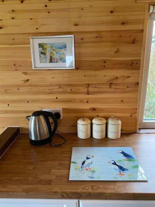 Idyllic Cornish Retreat At Puffin Lodge هيلستون المظهر الخارجي الصورة