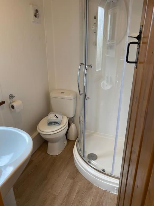 Idyllic Cornish Retreat At Puffin Lodge هيلستون المظهر الخارجي الصورة