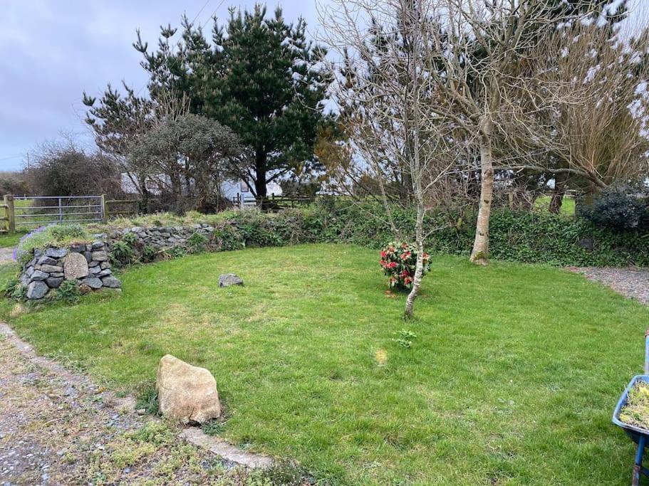 Idyllic Cornish Retreat At Puffin Lodge هيلستون المظهر الخارجي الصورة